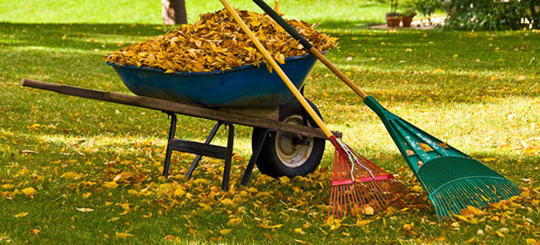 Fall And Spring Clean Up Greenworks Florida